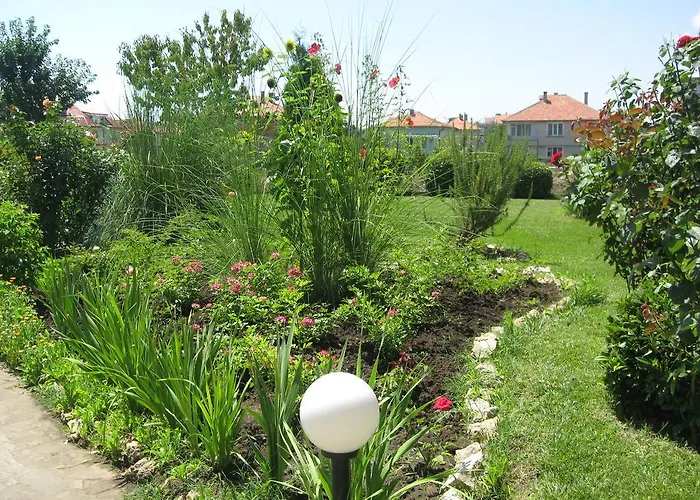 Chateau Aheloy 3* פומורי