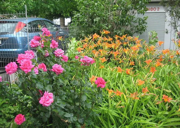 Chateau Aheloy מלון דירות 3*