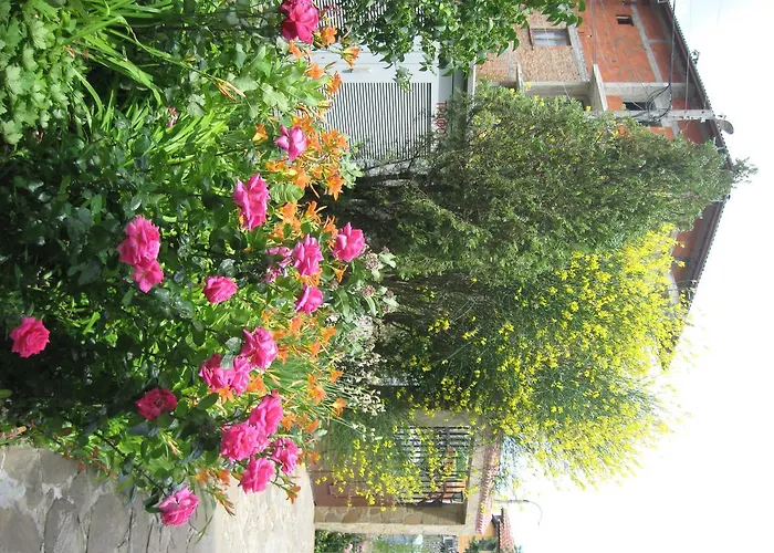 Chateau Aheloy 3* פומורי