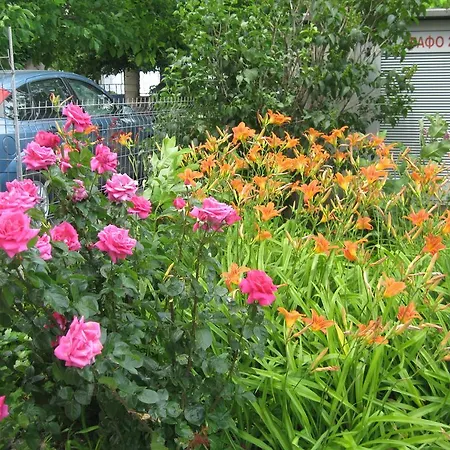 Chateau Aheloy 公寓式酒店 3*