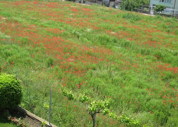 Hotel apartamentowy Chateau Aheloy Gmina Pomorie